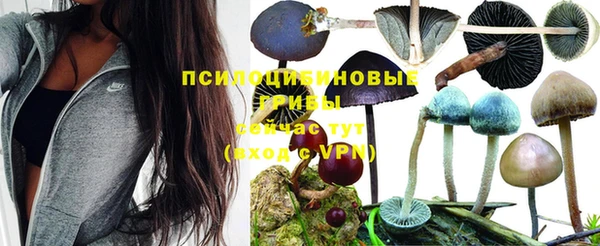 Альфа ПВП Нягань
