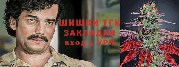 экстази Няндома