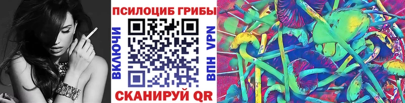 Галлюциногенные грибы Cubensis как найти закладки Бирюч